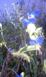 (untitled)