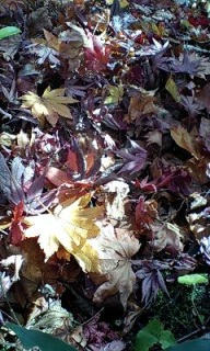 (untitled)
