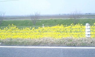 (untitled)