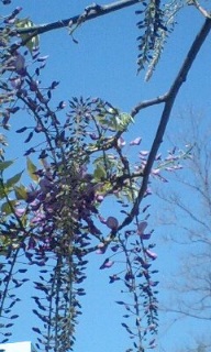 (untitled)