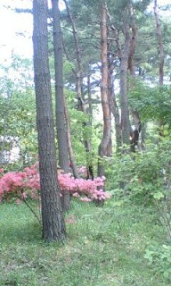 (untitled)