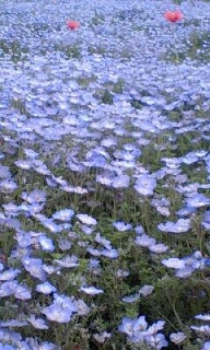 (untitled)