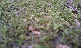 (untitled)