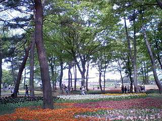 (untitled)