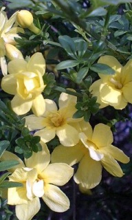 (untitled)