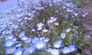 (untitled)
